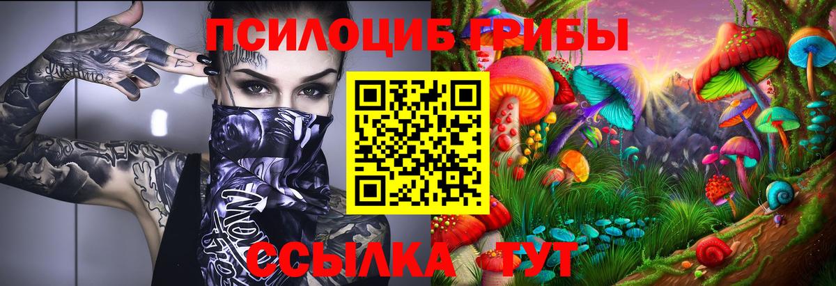 Галлюциногенные грибы мухоморы  Вход с VPN  Красногорск 